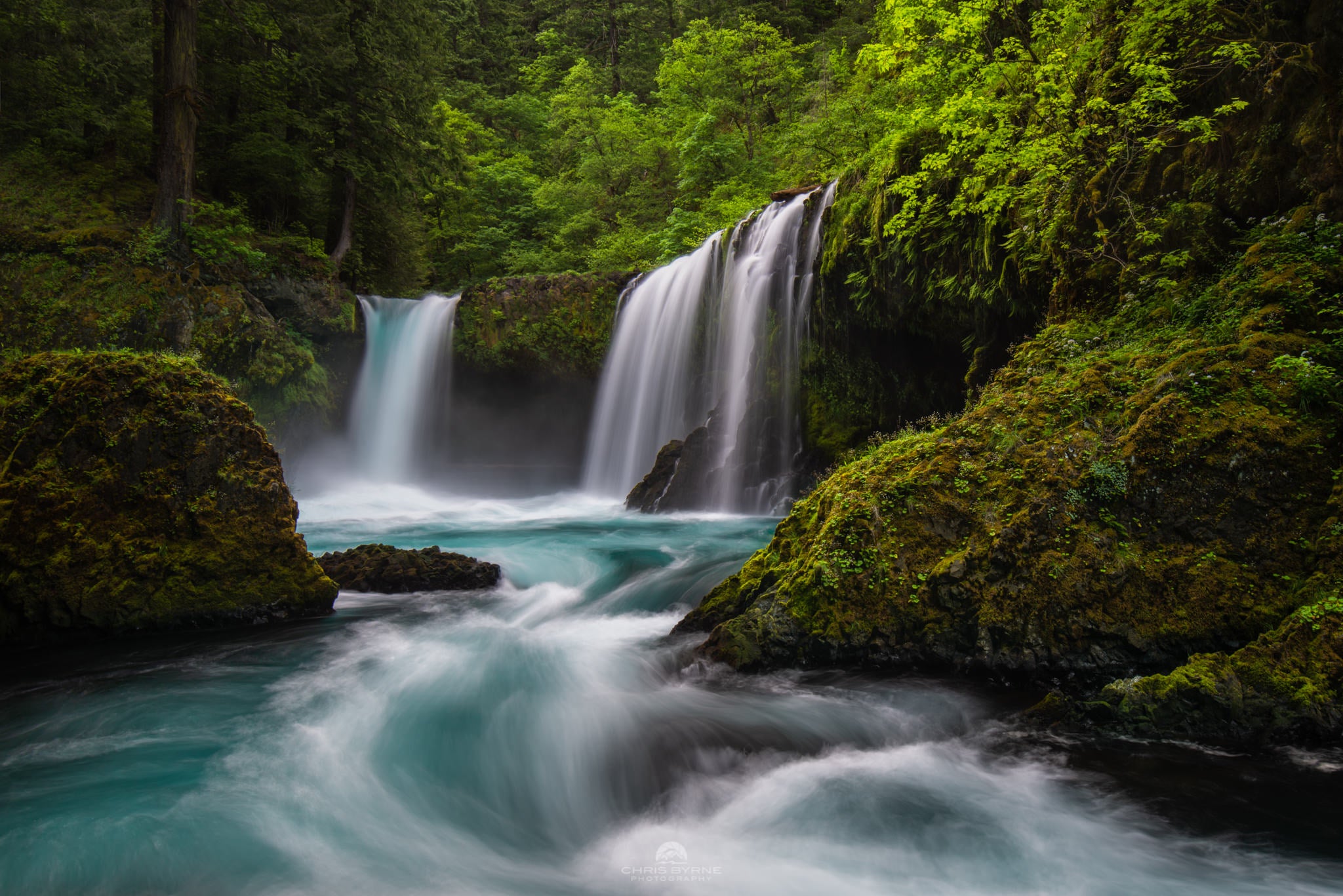 Interview with Chris Byrne