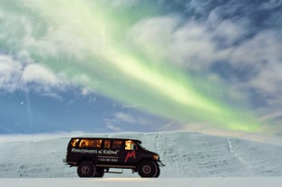 Northern Lights Hunt