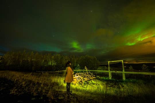 Magical 3.5-Hour Northern Lights Bus Tour Departing from Reykjavik