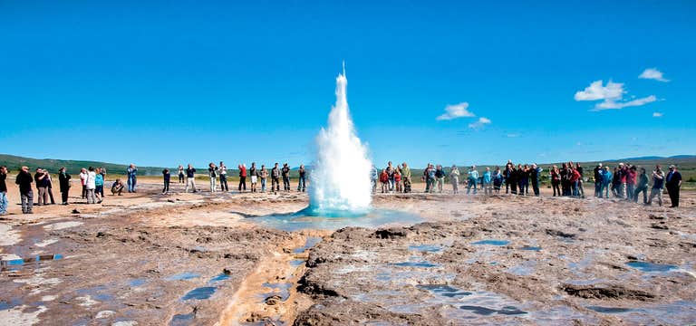 Family-Friendly 8-Hour Sightseeing Tour of the Golden Circle & Fridheimar from Reykjavik