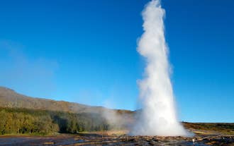 Buggy & Golden Circle