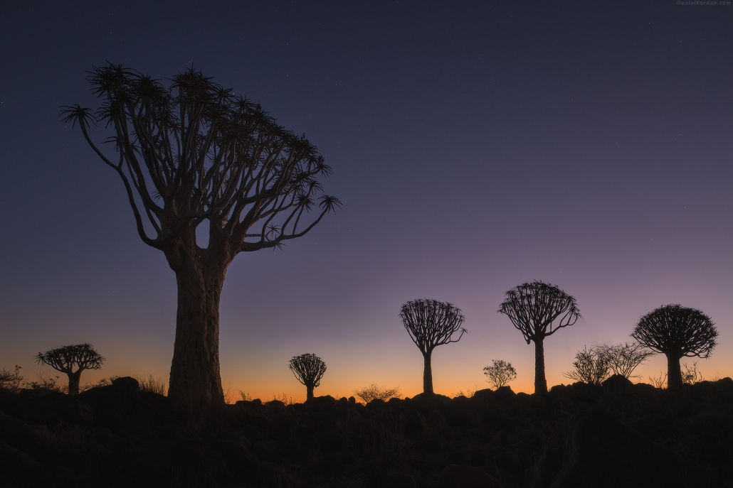 12 Day Namibia Photography Tour - day 11