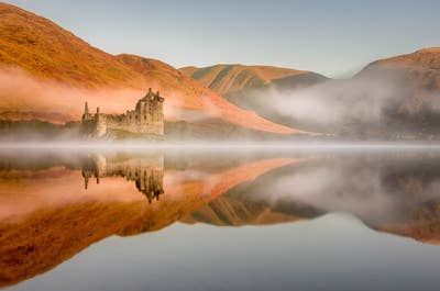 You will see plenty of Highland Cattle during your photography trip in Scotland.