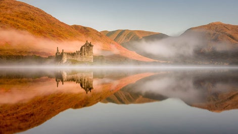 You will see plenty of Highland Cattle during your photography trip in Scotland.