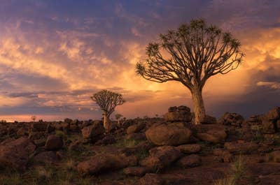 Namibia Wildlife Photography Tour - day 5