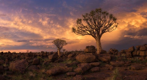 Namibia Wildlife Photography Tour - day 5