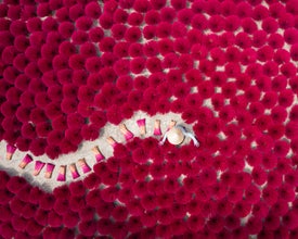 Vibrant Vietnam Photography Tour