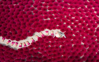 Vibrant Vietnam Photography Tour