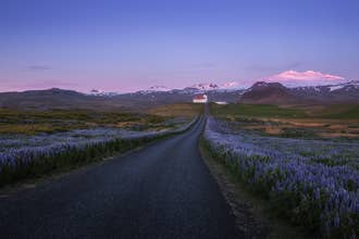 Unforgettable 7-Day Iceland in Summer Photography Tour with Luminar Adventures