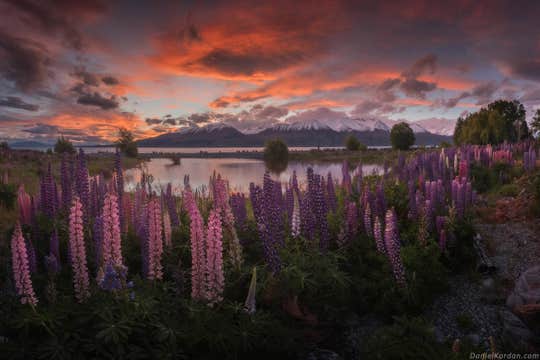 12 Day South Island New Zealand Photography Workshop - 5-16 December 2023