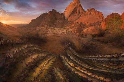 12 Day Namibia Photo Tour: A Photographic Journey Through Desert Wonders - day 1
