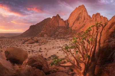 12 Day Namibia Photo Tour: A Photographic Journey Through Desert Wonders - day 12