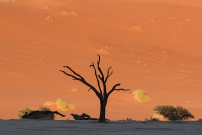 Namibia Photo Tour - day 7