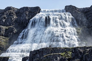 Dynjandi Waterfall & Farm Tour from Isafjordur Port