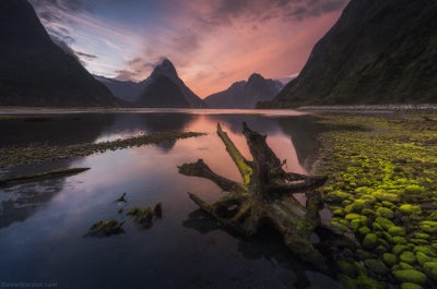 12 Day South Island New Zealand Photography Workshop - 5-16 December 2023 - day 6