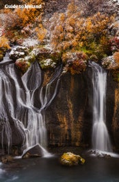 Hraunfossar's cascading waters weave through a volcanic canvas, creating a mesmerizing display of beauty.