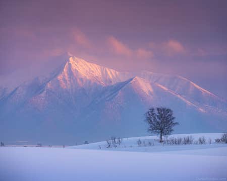 8 Day Hokkaido Photography Tour in Japan
