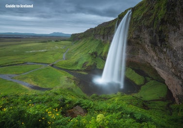 Seljalandsfoss is a pristine South Coast waterfall surrounded by lush greenery during summer.