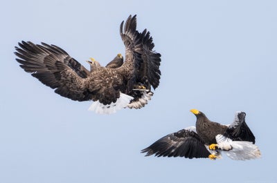 8 Day Hokkaido Photography Tour in Japan - day 3