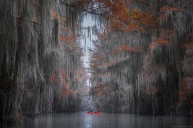 Cypress Swamps Photography Workshop - day 1