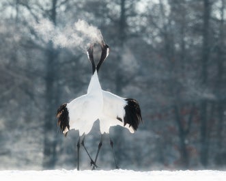 8 Day Hokkaido Photography Tour in Japan - day 2