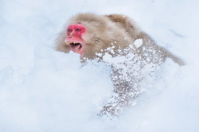 8 Day Hokkaido Photography Tour in Japan - day 8