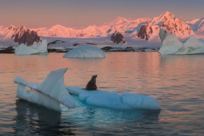 Red Sails in Antarctica Photography Expedition with Daniel Kordan - Fly/Fly tour - day 3