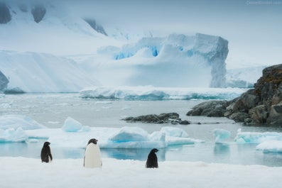 Red Sails in Antarctica Photography Expedition with Daniel Kordan - day 4