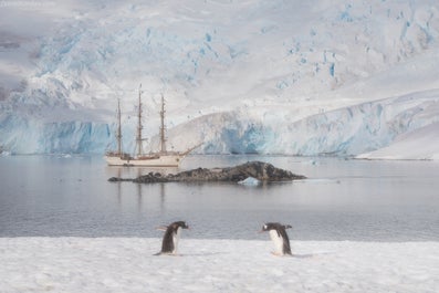 Red Sails in Antarctica Photography Expedition with Daniel Kordan - Fly/Fly tour - day 5