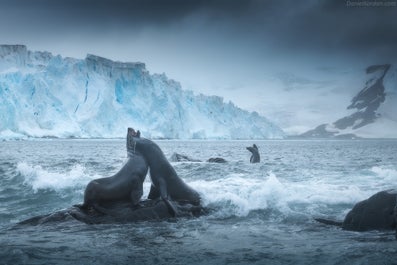 Red Sails in Antarctica Photography Expedition with Daniel Kordan - Fly/Fly tour - day 7