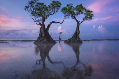 Indonesia Photography Tour - day 7