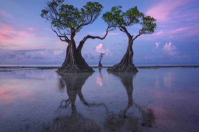 Indonesia Photography Tour - day 7