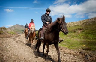 Grand Golden Circle & Horse Riding Tour