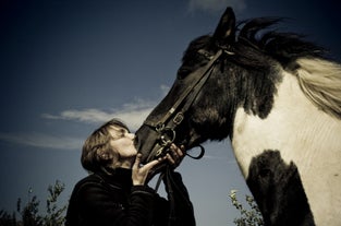 A traveler hugs and kisses an Icelandic horse.