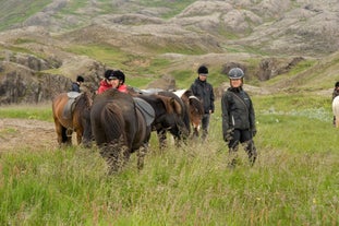 A group of riders and horses resting on a lush valley in Southwest Iceland.