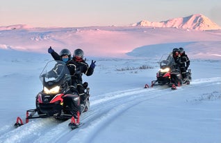 Lake Mývatn 1.Hour Snowmobile Safari