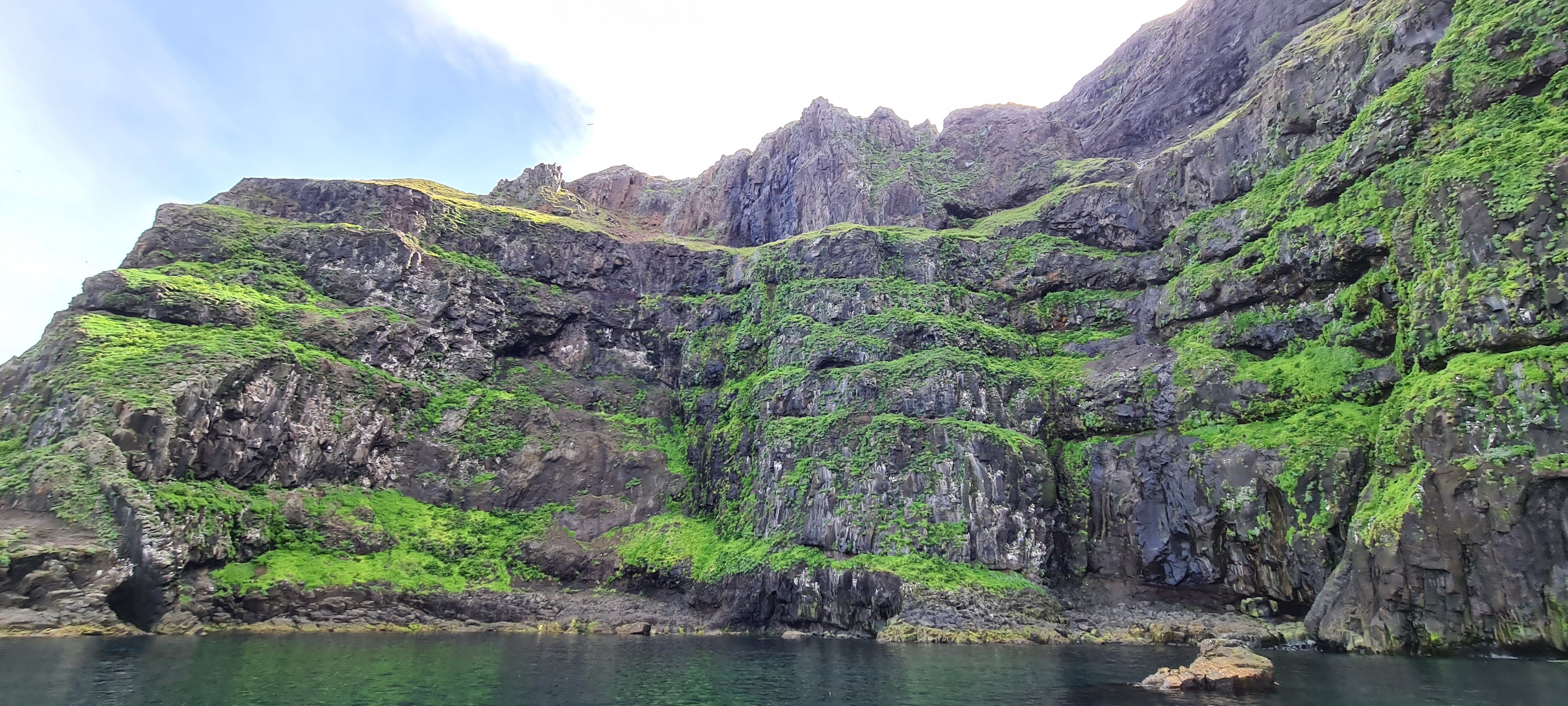 Secret Quest - Nature & Wildlife RIB Safari Private Tour in East Iceland