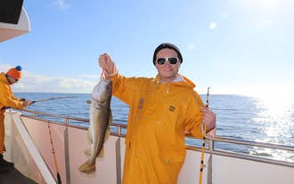 Whales & Sea Angling