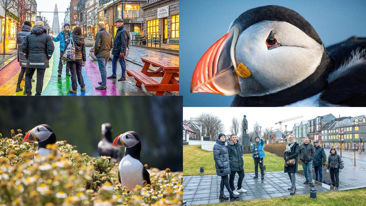 Puffin & People Watching | Reykjavik City Walk combo with Puffin Watching by Boat