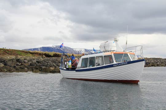 Puffin & People Watching | Reykjavik City Walk combo with Puffin Watching by Boat