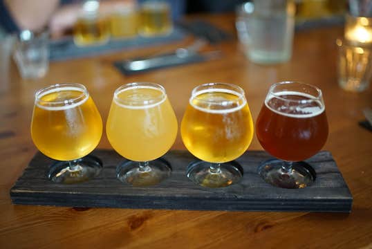 Reykjavik Beer & Booze Tour