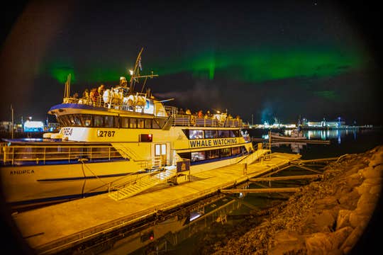 Reykjavik Food Lovers Tour & Northern Lights by Boat