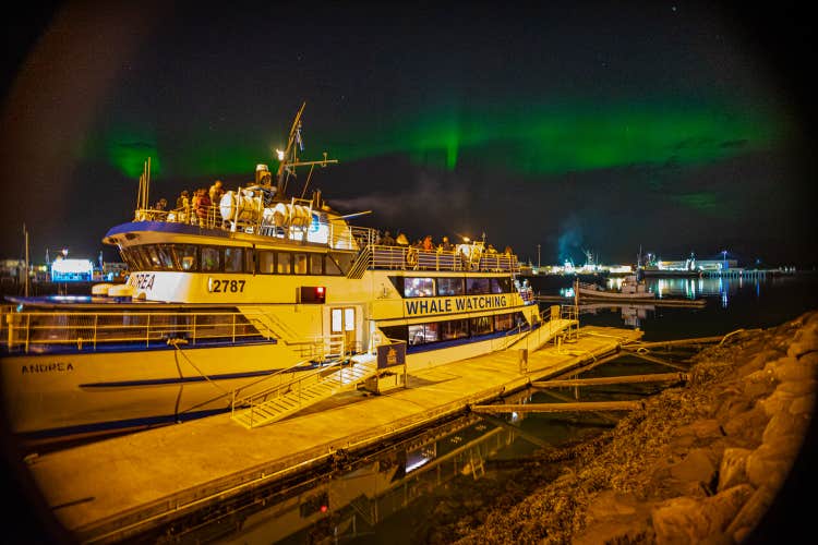 Reykjavik Food Lovers Tour & Northern Lights by Boat