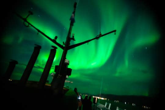 Reykjavik Food Lovers Tour & Northern Lights by Boat