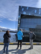 Reykjavik City Walk and Sea Angling