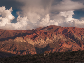 10 Day Puna de Atacama Photography Tour