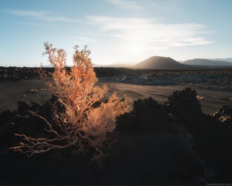 10 Day Puna de Atacama Photography Tour - day 7