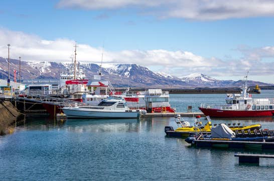 Easy 45-Minute Transfer from Keflavik International Airport to Reykjavik
