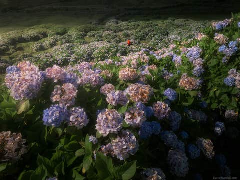 Azores Photo Tour: São Miguel and Flores Island