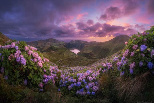 Azores Photo Tour: São Miguel and Flores Island